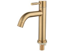 Goud Badkamerkraan - Roestvrij Staal - Moderne Design Wastafelkraan - Koud Water Kraan - 1 - Voor Badkamer Gebruik - Goud