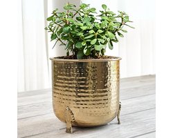 Gouden Gehamerde Metalen Plantenbak voor Binnen en Buiten | Elegant Voor Woondecoratie