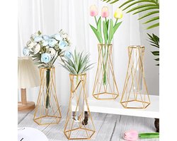 Gouden glazen vazen set met metalen standaard voor bloemen en planten