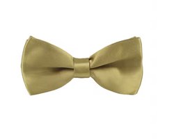 Goudkleurige vlinderstrik - Champagne kleurig strikje - Gouden das - Goud - Vlinderdas - Voorgestrikt - Satijn - CHPN