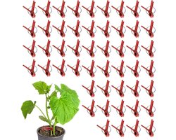 Grafting Clips - Plant Clips - Planten Ondersteunen - Vlakke Mond Haak - 50 stuks - Multicolor