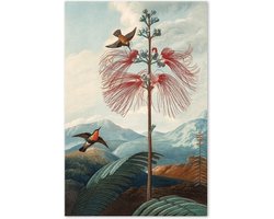 Graphic Message - Tuin Schilderij op Outdoor Canvas - Grote Bloeiende Plant Vogels - Buiten - Vogel - Oude Meesters