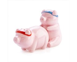 Grappige Varkens Zout- en Peperstrooier Set