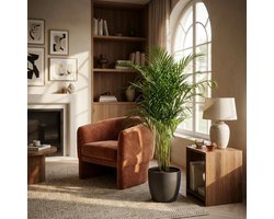 Green boutiQ - Kamerplant - Goudpalm - Dypsis Lutescens Areca - Groen - Weinig onderhoud - 1 Plant - met Potter Wit - Pot 21cm - Hoogte 90 - 100cm