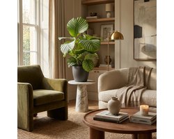 Green boutiQ - Kamerplant - Pauwenplant - Calathea Orbifolia - Groen - Weinig onderhoud - 1 Plant - met Potter Grijs - Pot 21cm - Hoogte 60 - 70cm