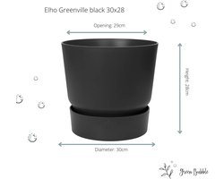Green Bubble - Kentia palm inclusief elho greenville grijs - 180cm