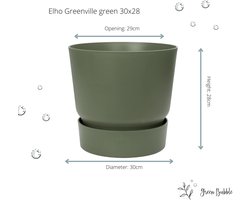 Green Bubble - Kentia palm inclusief elho Greenville wit - 180cm