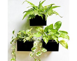 Green Wall Planter - 3 Pack 15.5cm Wall Mounted Planters for Succulents Black Rectangular Hanging Metal Flower Pot Long Window Trays Fence Air Plant Holders Floating Garden Shelf for .