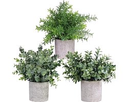 GreenDream® Kunstplanten - 3 stuks Kleine kunstplanten - Kamerplanten - 20cm