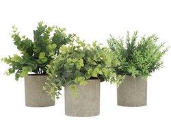 GreenDream Kunstplanten - Kleine kunstplanten - Kamerplanten - 3 stuks - Kunstplanten - +20cm hoogte