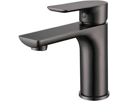 Grijze roestvrijstalen kraan, toilet-/wastafelkraan, warm- en koudwaterafvoer, met een aanvoerslang van 60 cm.