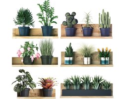 Groene 3D plant muurstickers - set van 6 stuks voor slaapkamer en woonkamer deco art - bloemen cactus botanische pot decoratie PVC stickers met ingemaakte bladeren.