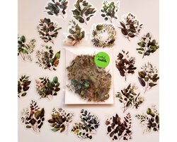 Groene bladeren stickers - transparante stickers - 40 stuks - thema Greenery - Krans - bullet journal stickers - Bosje takjes - scrapbook - laptop stickers - volwassenen en kinderen