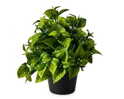 Groene kunstplant varen bonsai in zwarte pot – decoratieve nep plant voor huis en kantoor – compacte tafel decoratie voor woonkamer, bureau of kast – kunststof sierplant met realistische bladeren