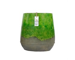 Groene Pot