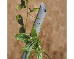 Groentehouder - Plantensteun - Planten Ondersteunen - Gerecycled Materiaal - 120 cm Hoog - Grijs