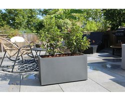Grondlegger Riviera Rechthoekig Grijs 80 x 40 cm Graniet