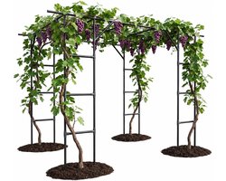 Groot tuinrek – Roestvrij stalen plantensteun met PE-coating – voor komkommers, tomaten en rozen – Multifunctioneel rek – Weerbestendig – Eenvoudig te monteren