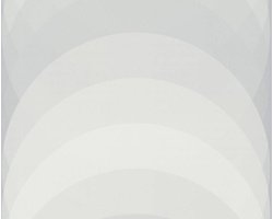 GROTE 3D CIRKELS BEHANG - Grijs - AS Creation Esprit 14