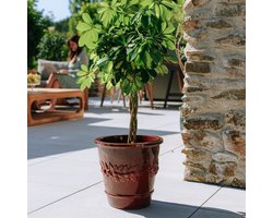 Grote buitenpot ROUSSEAU 31x30cm tropisch rood, handgemaakt van geglazuurd terracotta, vorstbestendig