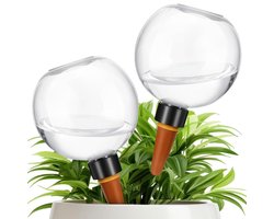 Grote Gietballen - Zelfbewatering Potplanten - Planten Water Geven - Grote Capaciteit 500ml - 17 cm Lengte - Transparant