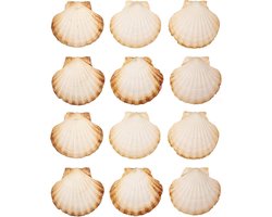 Grote Natuurlijke Schelpen Kommen Set voor Decoratie en Knutselen