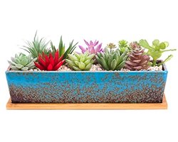 Grote Rechthoekige Succulente Plantenpot met Drainagebak voor Binnen en Buiten