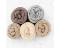 Grote Set gekaarde wol zachte kleuren – 5x25g Corriedale wol – Voor Vilten, Naaldvilten & Natvilten – 100% Wol