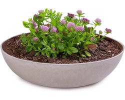 Grote vintage planten-schaal voor buiten, zandkleurig, gemarmerd, 30 x 9 cm - Perfect als bloempot, vogelbad of balkondecoratie