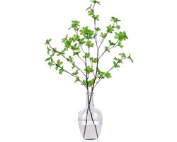 Grote Vloervaas - Glazen Kruik - Bloemen Presenteren - Hydrocultuur Geschikt - 25cm Hoog - Transparant