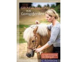 Grundausbildung von Gangpferden