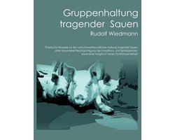 Gruppenhaltung tragender Sauen