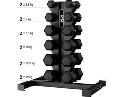 Gym Masters - Hexa Dumbbell Set 105 kg Zwart + Dumbbell Rek – Set van 2 Dumbbells per Gewicht (2,5 t/m 15 kg) – Opslag voor 12 dumbells– Thuis en Sportschool - Dumbbell rek - dumbell opslag