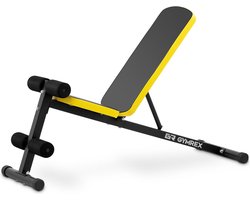 Gymrex - trainingsbank - verstelbare rugleuning - 100 kg