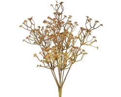 Gypsophila l.bruin tak- decoratieve tak- woondecoratie