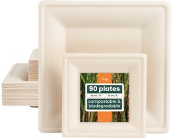 HAAGO 90 Vierkante Wegwerp Bagasse Borden voor Warm & Koud Eten (2 Maten: Groot, 26cm en Klein, 16cm) - Stevig, Stijf en Lekvrij - Biologisch afbreekbaar, Milieuvriendelijk en Thuis Composteerbaar