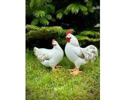 Haan en hen wit/goud set van 2 - 21 cm hoog - polyresin - polystone - hoogkwalitatieve kunststof - decoratiefiguur - interieur - accessoire - voor binnen en buiten - cadeau - geschenk - tuinfiguur - tuinbeeldje - tuindecoratie