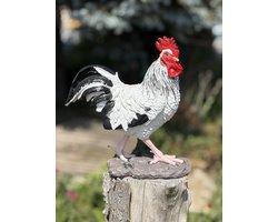 Haan wit kleine variant (IMH) 30 cm hoog - polyester - polyresin - polystone - hoogkwalitatieve kunststof - decoratiefiguur - interieur - accessoire - voor binnen - voor buiten - cadeau - geschenk - Kerst - Nieuwjaar - tuinfiguur - tuinbeeld