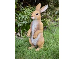 Haas staand bruin 47.5 cm hoog - polyester - polystone - beeld - tuinbeeld - hoogkwalitatieve kunststof - decoratiefiguur - interieur - accessoire - voor binnen - voor buiten - cadeau - geschenk - zomercollectie - Pasen - Paasdecoratie