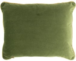 half kussen fluweel goud appel groen 35x45cm