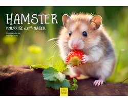 Hamster Kalender 2026 DIN A3 - Dierenkalender met Mooie Knaagdier Foto's