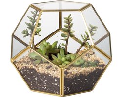 Handgemaakte Bloempot van Goud Messing voor Tafel, Geometrische Vijfhoekige Terrarium voor Varens, Mos en Succulenten, Perfecte Planthouder van Glas