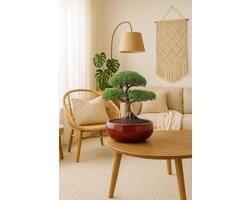 Handgemaakte Bonsai Kom met Rood Glazuur en Grijze Effecten – Rond Design voor Bonsai Planten – Ø [SIZE] cm – Perfect voor Binnen en Buiten Gebruik