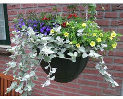 Hangbasket Ariete - 40 cm doorsnede - met ketting