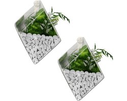 Hangende Diamanten Terrarium
