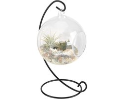 Hangende glazen bolvaas - Glazen vaas – 10 cm – Spiraalvormige ijzeren ophangstandaard – Glazen plantenbak/vaas met open bovenkant – Glazen bol-terrarium – Tafeldecoratie – Geschikt voor thuis, feestjes, bruiloften, tuinen en doe-het-zelfprojecten