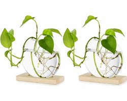 Hangende Glazen Plantenbak - Hydrocultuur - 2 Stuks - Houten Standaard - Modern