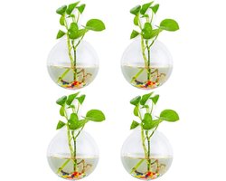 Hangende glazen plantenbakken voor binnen en buiten - set van 4 bolvormige plantenpotten met stenen - decoratief terrarium voor thuis, tuin, kantoor en bruiloften.