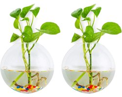 Hangende plantenbakken | Bolvormige plantenpotten | Terrarium met stenen | Voor huis, tuin en kantoor