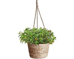 Hangende Zeegras Plantenmand